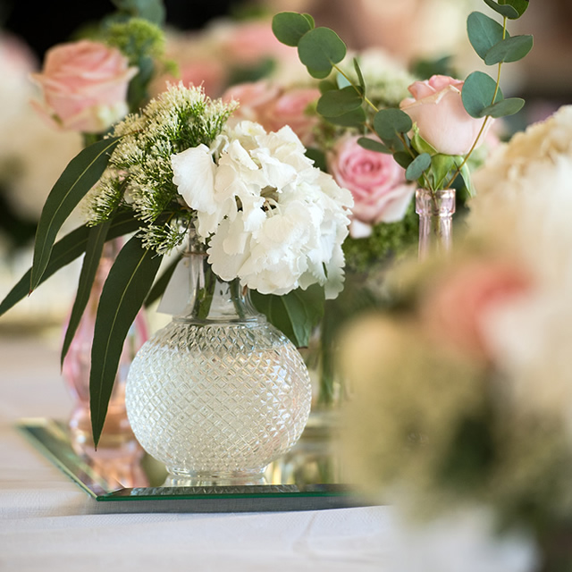 Image Feed - Decoración