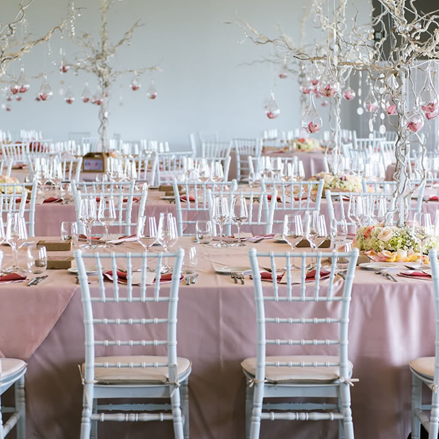 Image Feed - Salones