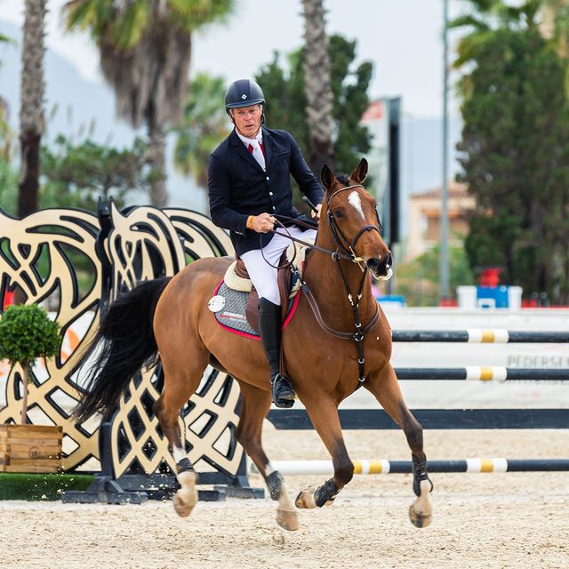 Image Feed - Hípica