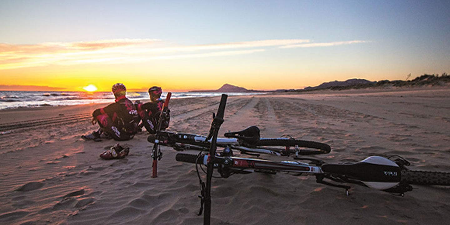 Alquiler de bicicletas