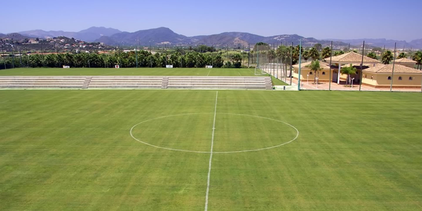 Campos de césped natural