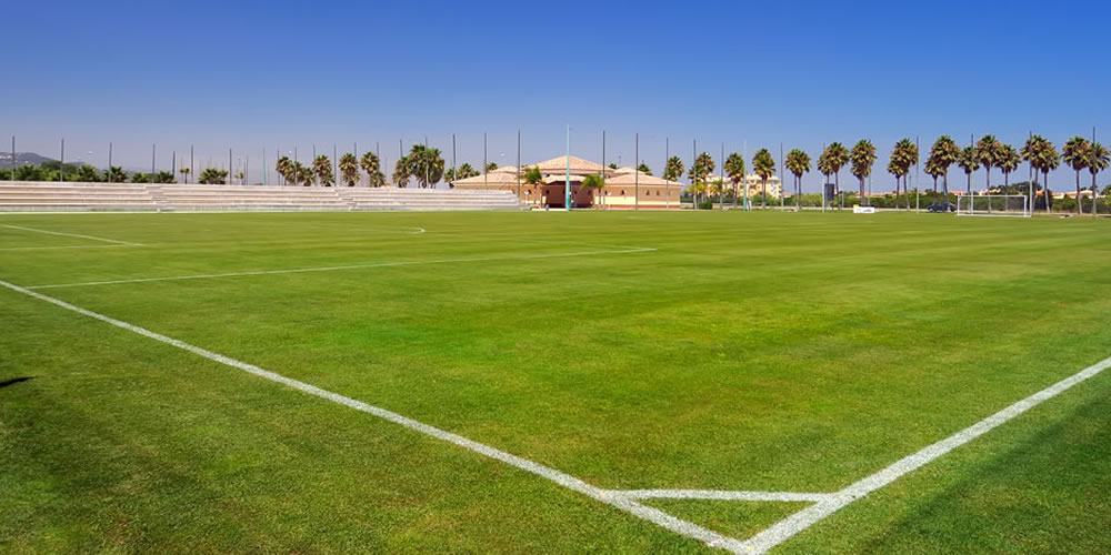 Organiza tu partido oficial o amistoso