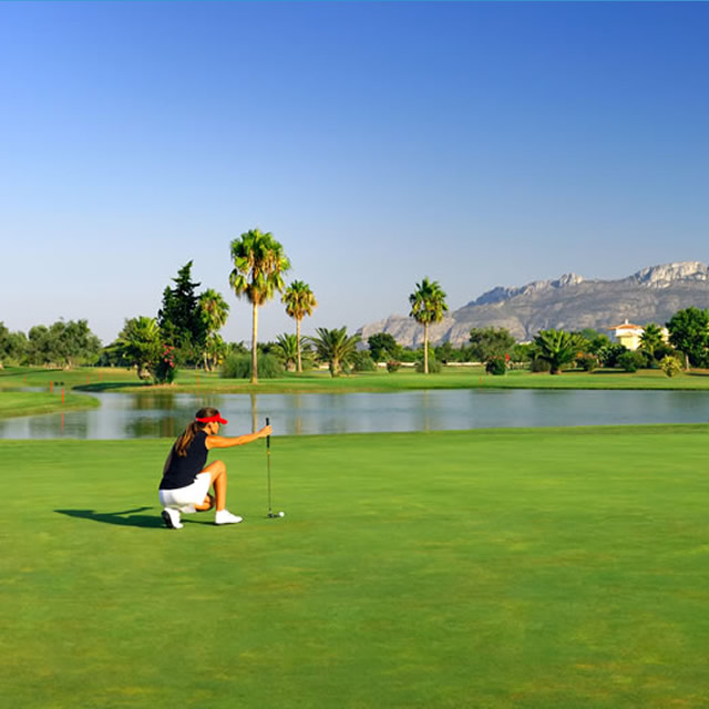 Image Feed - Golf Feed 1