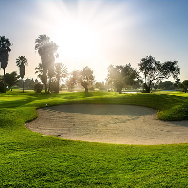 Image Feed - Golf Feed 4