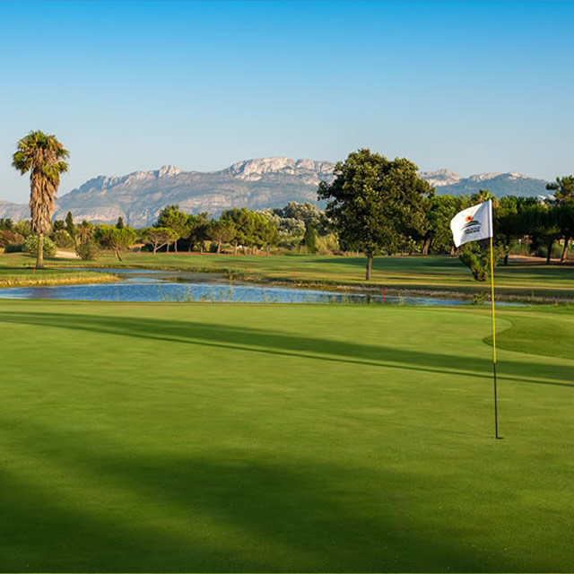 Image Feed - Golf Feed 5