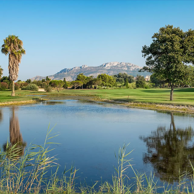 Image Feed - Golf Feed 6