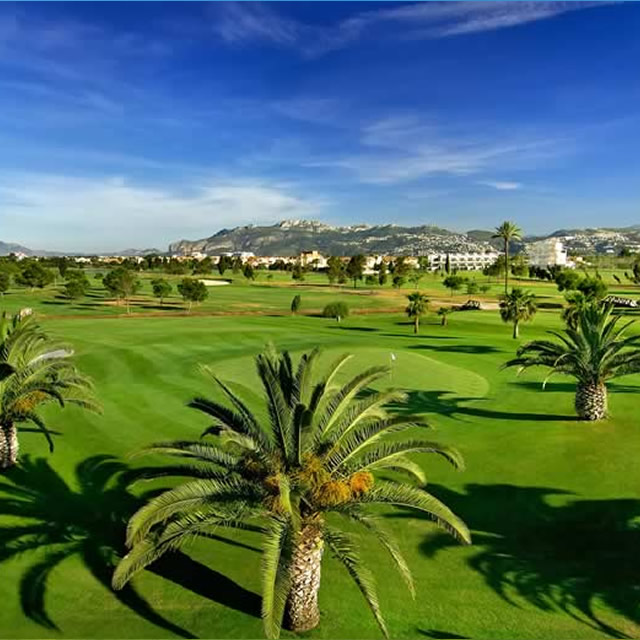 Image Feed - Golf Feed 9