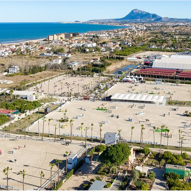 Image Feed - Hipica feed 1