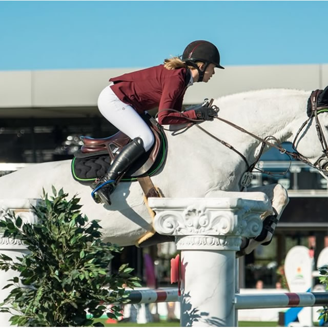 Image Feed - Feed hipica 12