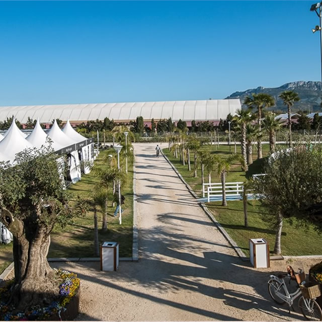 Image Feed - Feed hipica 13