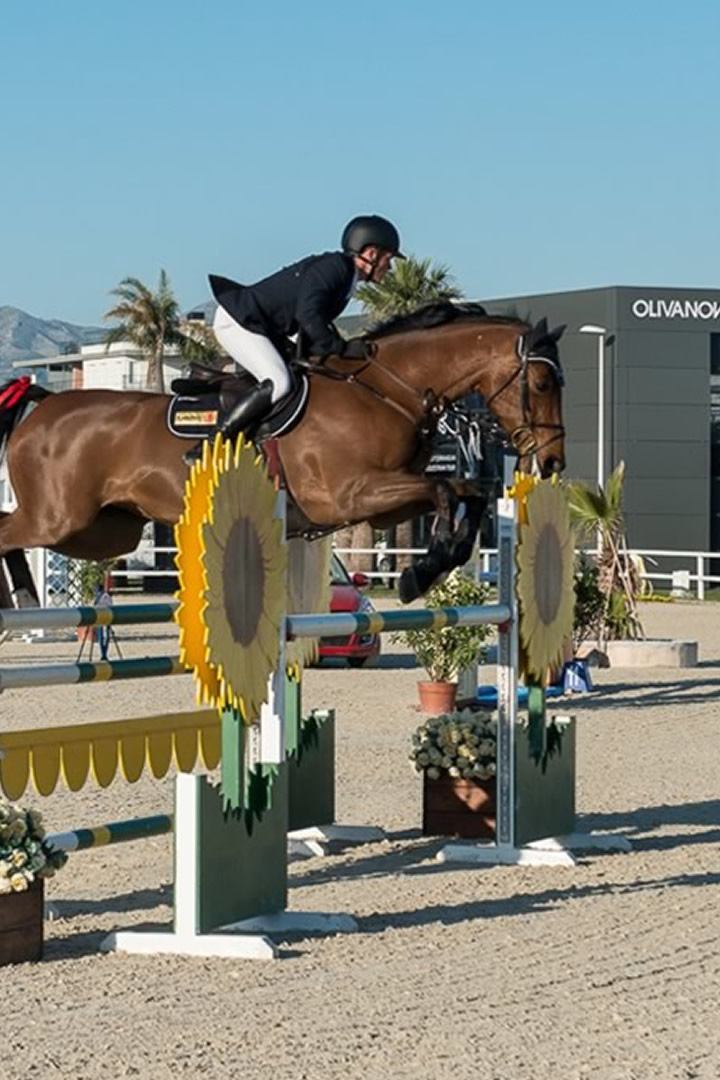 Image Feed - Deporte y ocio feed 12