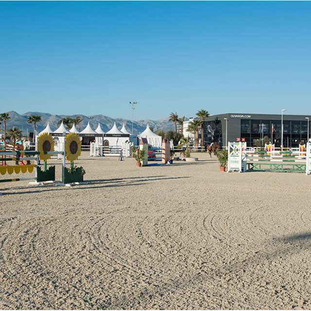 Image Feed - Feed hipica 4