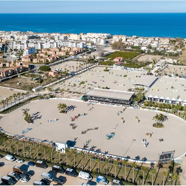 Image Feed - Feed hipica 6