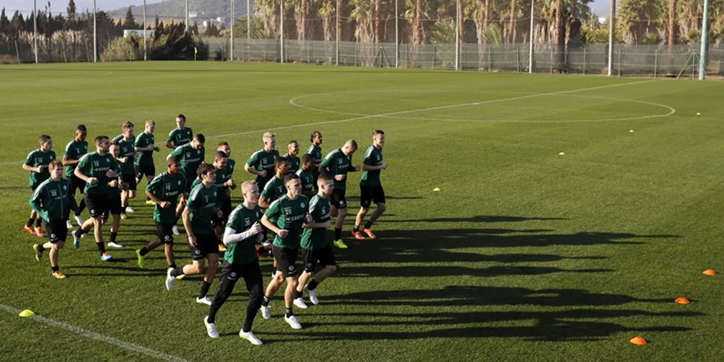 Campos de césped natural