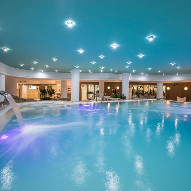 Image Feed - Cuello de cisne