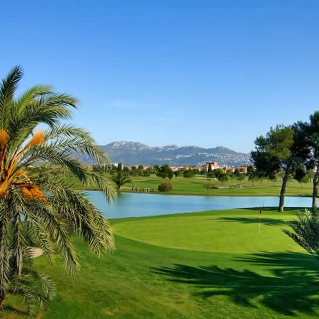 Image Feed - Alquiler 6