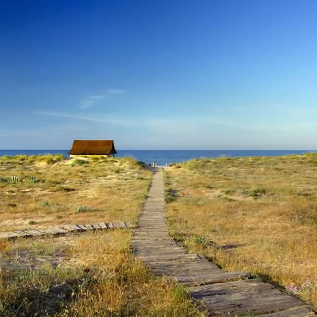 Image Feed - Alquiler 8